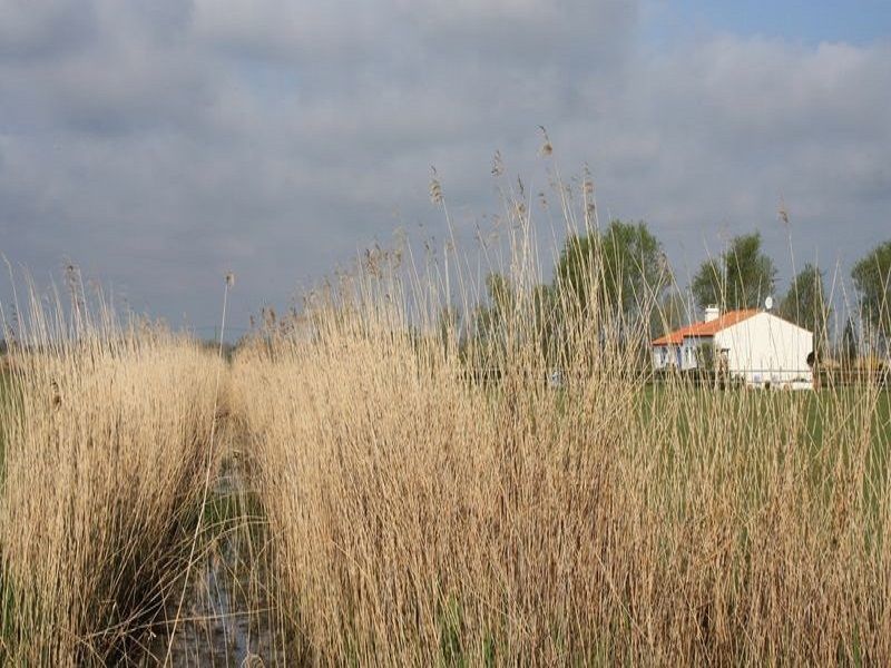 foto 12 Aluguer de férias entre particulares Saint Hilaire de Riez appartement Pays de la Loire Vendée