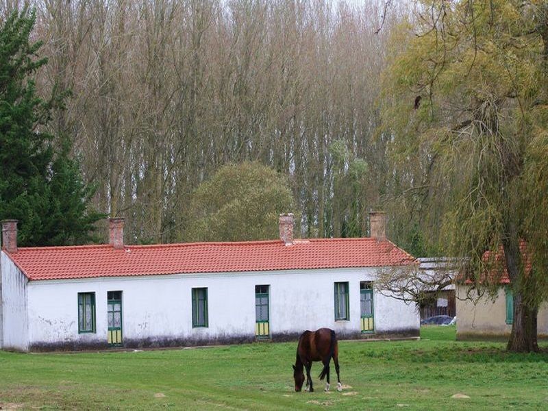 foto 19 Aluguer de férias entre particulares Saint Hilaire de Riez appartement Pays de la Loire Vendée