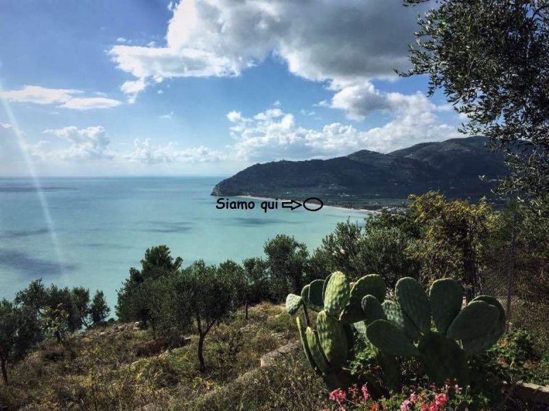 foto 2 Aluguer de férias entre particulares Mattinata maison   Vista dos arredores