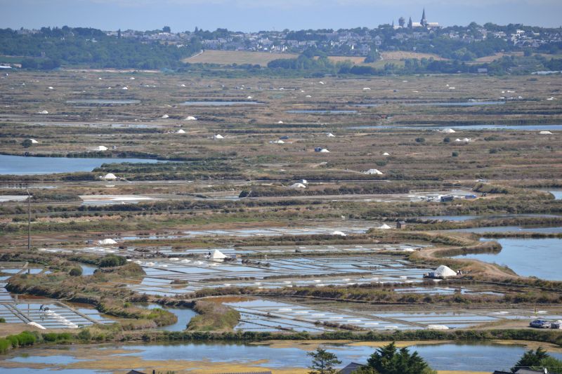 foto 14 Aluguer de frias entre particulares La Baule studio Pays de la Loire Loire-Atlantique Outras