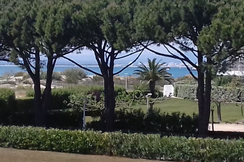 foto 0 Aluguer de férias entre particulares Port Camargue studio Languedoc-Roussillon Gard Vista do terraço