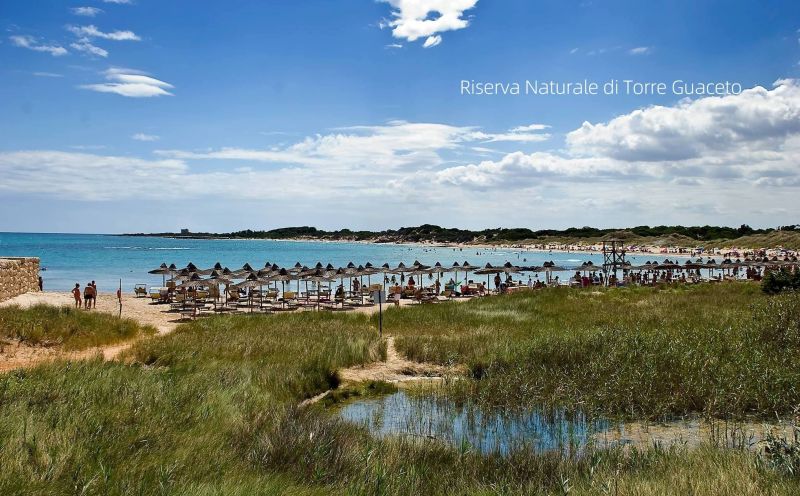 foto 29 Aluguer de férias entre particulares Ostuni maison Puglia Bríndisi (província de) Praia