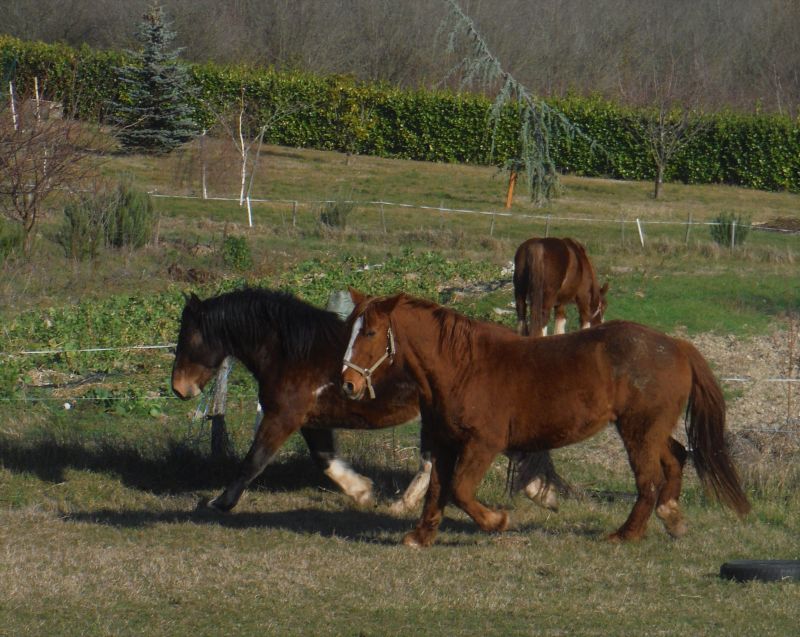 foto 18 Aluguer de frias entre particulares Montlimar gite Rdano-Alpes Drme