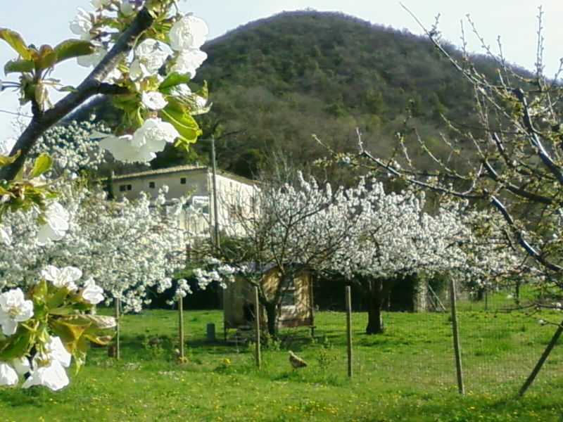 foto 24 Aluguer de frias entre particulares Montlimar gite Rdano-Alpes Drme