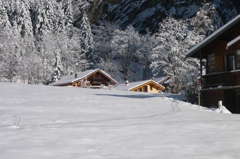 foto 2 Aluguer de frias entre particulares Pralognan la Vanoise chalet Rdano-Alpes Sabia Vista exterior do alojamento