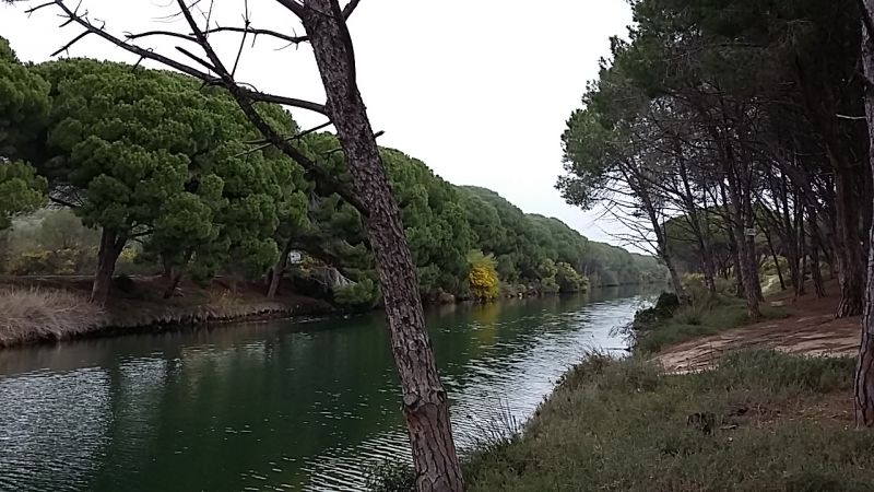 foto 15 Aluguer de férias entre particulares Orosei appartement Sardenha Nuoro (província de) Outras