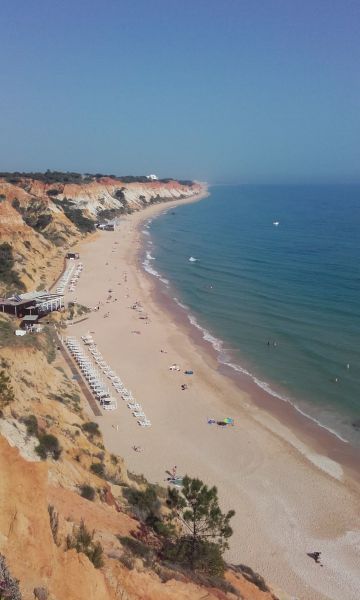 foto 16 Aluguer de frias entre particulares Olhos de gua appartement Algarve  Praia