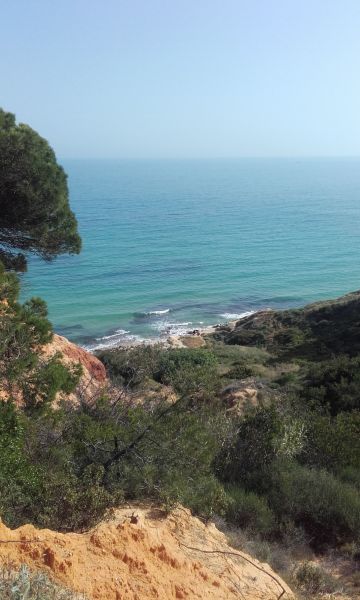 foto 19 Aluguer de frias entre particulares Olhos de gua appartement Algarve  Praia