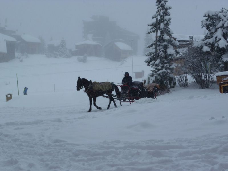 foto 20 Aluguer de frias entre particulares Avoriaz appartement Rdano-Alpes Alta Sabia