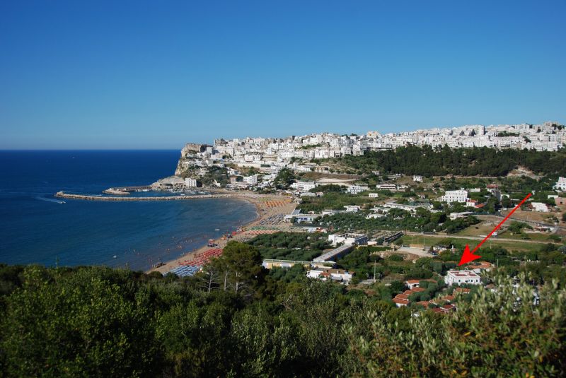 foto 1 Aluguer de frias entre particulares Peschici appartement Puglia Foggia (provncia de)