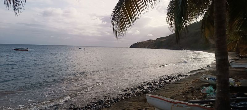 foto 19 Aluguer de frias entre particulares Les Anses d'Arlet bungalow   Praia