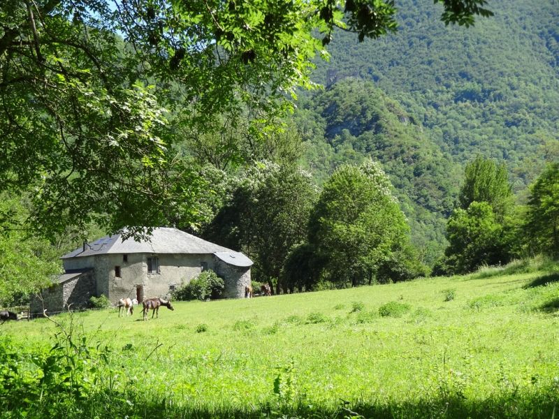 foto 16 Aluguer de férias entre particulares Tarascon sur Ariège gite Midi-Pyrénées Ariège Vista exterior do alojamento