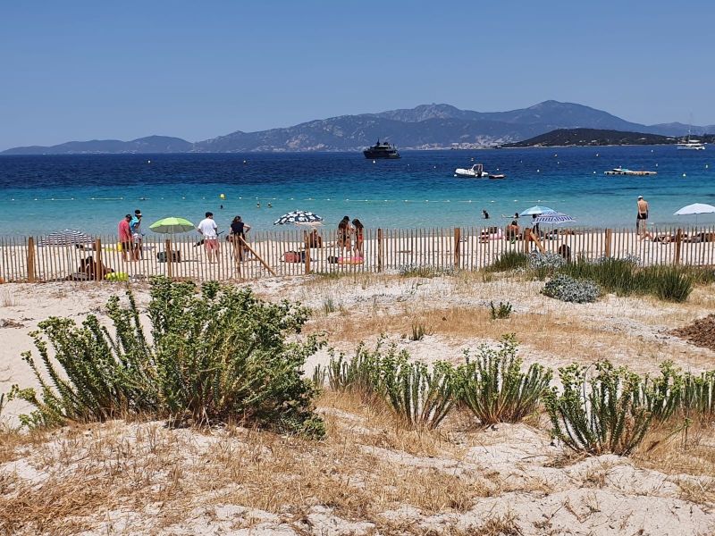 foto 16 Aluguer de férias entre particulares Ajaccio studio Córsega Córsega do Sul Praia