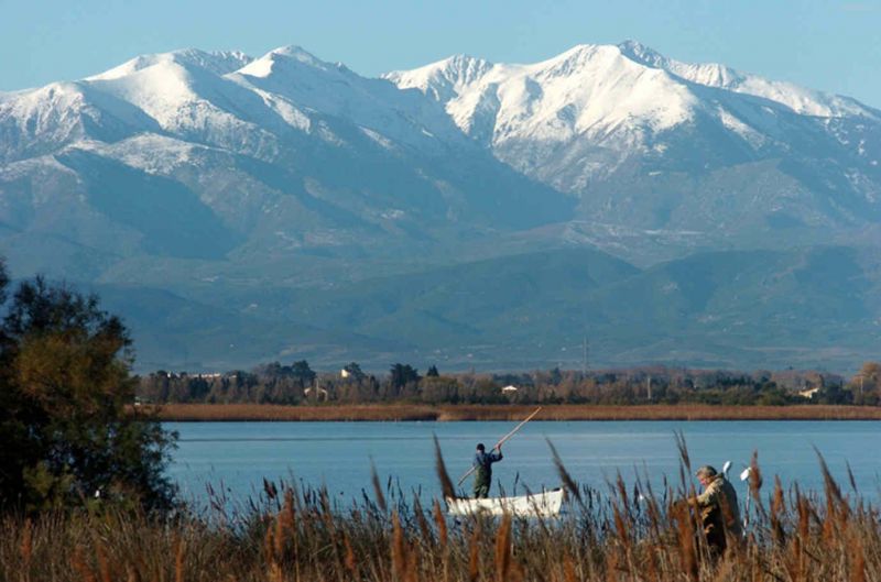 foto 19 Aluguer de férias entre particulares Canet villa Languedoc-Roussillon Pirineus Orientais Vista dos arredores