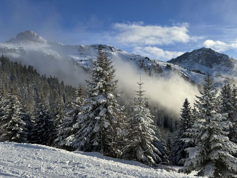 foto 0 Aluguer de frias entre particulares Thollon Les Mmises appartement Rdano-Alpes Alta Sabia