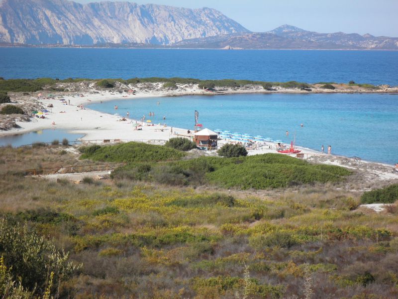 foto 2 Aluguer de férias entre particulares San Teodoro appartement Sardenha Olbia Tempio (província de)