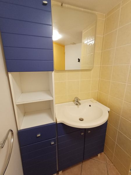 foto 17 Aluguer de frias entre particulares Bormes Les Mimosas appartement Provena-Alpes-Costa Azul Var casa de banho