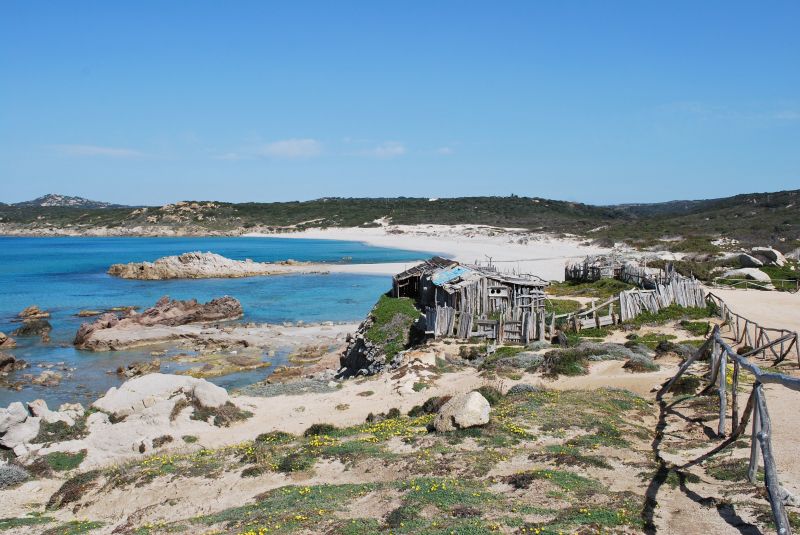 foto 19 Aluguer de frias entre particulares Santa Teresa di Gallura villa Sardenha Olbia Tempio (provncia de) Praia