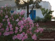 Aluguer frias Ostuni: villa n 110107