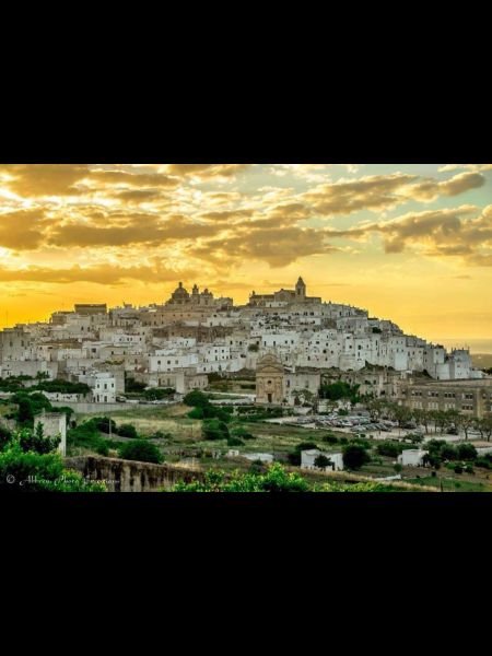 foto 25 Aluguer de frias entre particulares Ostuni villa Puglia Brndisi (provncia de) Outras