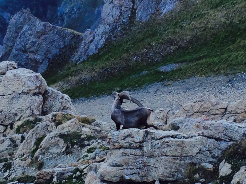 foto 22 Aluguer de férias entre particulares Les Menuires chalet Ródano-Alpes Sabóia