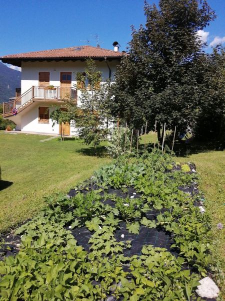 foto 9 Aluguer de frias entre particulares Levico Terme appartement Trentino-Alto Adige Trento (provncia de) Jardim