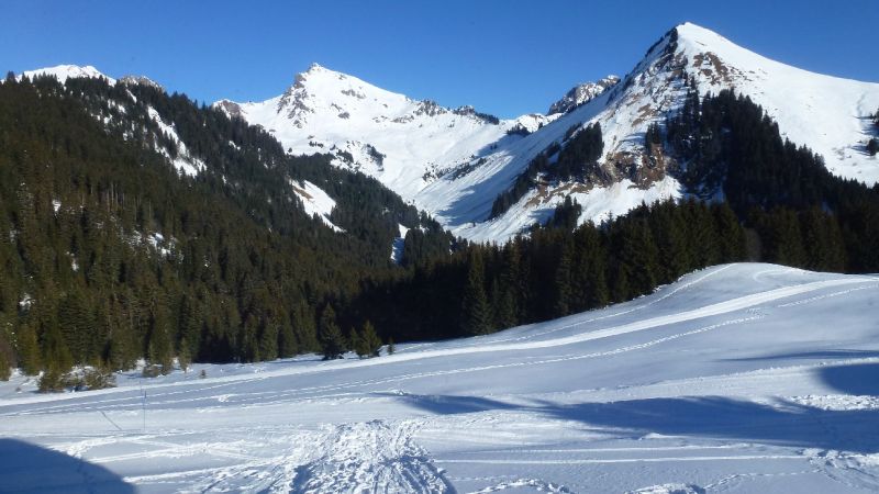 foto 16 Aluguer de frias entre particulares Praz de Lys Sommand chalet Rdano-Alpes Alta Sabia Vista desde do alojamento