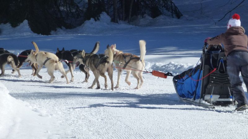 foto 19 Aluguer de férias entre particulares Praz de Lys Sommand chalet Ródano-Alpes Alta Sabóia Outras