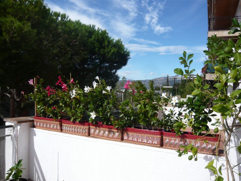 foto 5 Aluguer de férias entre particulares Rosas appartement Catalunha Girona (província de) Vista do terraço