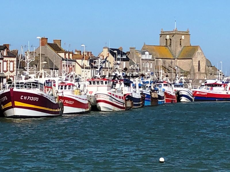 foto 16 Aluguer de férias entre particulares Barfleur maison Baixa-Normandia Mancha Vista dos arredores