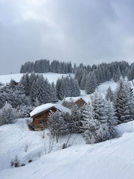 foto 24 Aluguer de frias entre particulares Manigod-Croix Fry/L'tale-Merdassier appartement Rdano-Alpes Alta Sabia Vista dos arredores