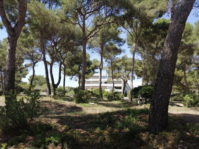 foto 4 Aluguer de frias entre particulares Bandol appartement Provena-Alpes-Costa Azul Var Vista exterior do alojamento