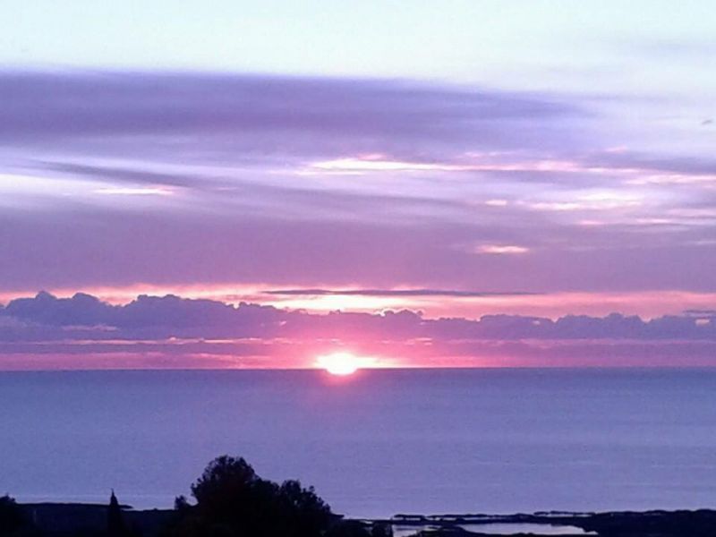 foto 3 Aluguer de frias entre particulares San Teodoro appartement Sardenha Olbia Tempio (provncia de) Vista desde do alojamento