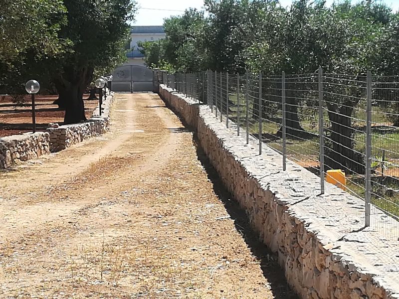 foto 2 Aluguer de frias entre particulares Lido Marini villa Puglia  Outras