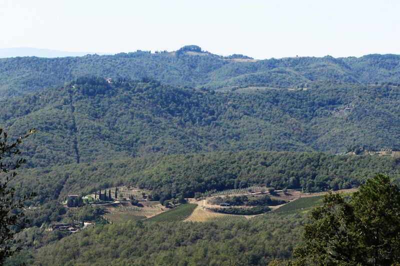 foto 22 Aluguer de férias entre particulares Siena gite Toscana Siena (província de) Vista desde do alojamento