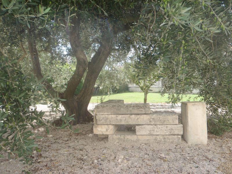 foto 7 Aluguer de frias entre particulares Saint Rmy de Provence maison Provena-Alpes-Costa Azul Bocas do Rdano Jardim