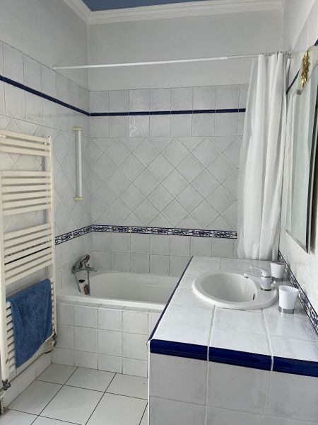 foto 11 Aluguer de frias entre particulares Saint Rmy de Provence maison Provena-Alpes-Costa Azul Bocas do Rdano casa de banho