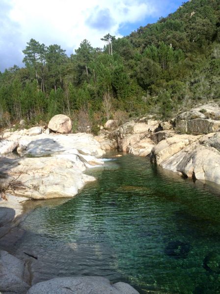 foto 28 Aluguer de férias entre particulares Ste Lucie de Porto Vecchio villa Córsega Córsega do Sul