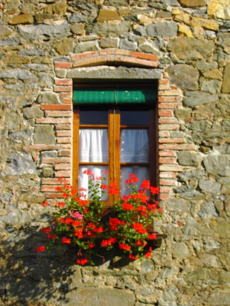 foto 18 Aluguer de frias entre particulares Arezzo maison Toscana Arezzo (provncia de) quarto 4