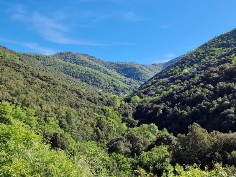 foto 14 Aluguer de férias entre particulares Uzès appartement Languedoc-Roussillon