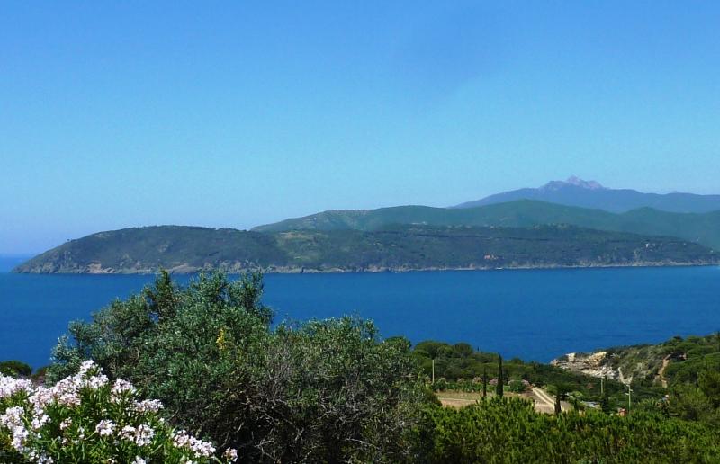 foto 0 Aluguer de frias entre particulares Capoliveri appartement Toscana Ilha de Elba Vista desde do alojamento