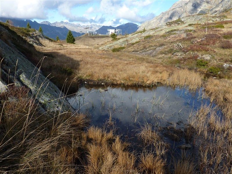 foto 4 Aluguer de frias entre particulares Alpe d'Huez appartement Rdano-Alpes Isre Vista exterior do alojamento