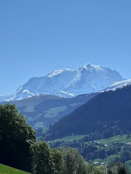 foto 27 Aluguer de frias entre particulares Praz sur Arly studio Rdano-Alpes Alta Sabia Vista dos arredores