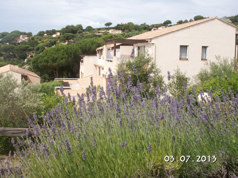 foto 15 Aluguer de frias entre particulares Sainte Maxime appartement Provena-Alpes-Costa Azul Var Vista exterior do alojamento