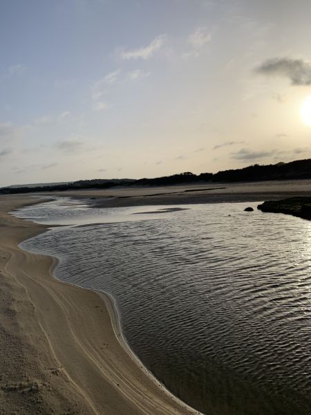 foto 28 Aluguer de frias entre particulares Wissant gite Nord-Pas de Calais Pas de Calais Praia