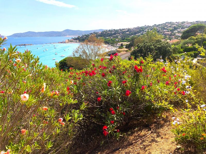 foto 4 Aluguer de frias entre particulares Le Lavandou villa   Vista do terrao