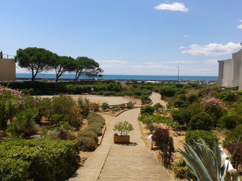 foto 2 Aluguer de frias entre particulares Sete studio Languedoc-Roussillon Hrault Jardim