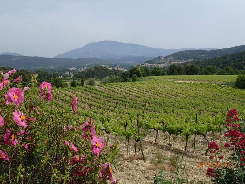 foto 16 Aluguer de frias entre particulares Vaison la Romaine gite Provena-Alpes-Costa Azul Vaucluse Vista desde do alojamento