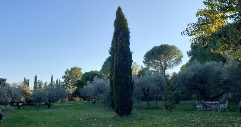 foto 2 Aluguer de férias entre particulares Uzès maison Languedoc-Roussillon Gard Jardim