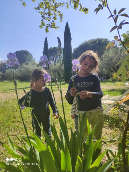 foto 5 Aluguer de férias entre particulares Uzès maison Languedoc-Roussillon Gard Jardim